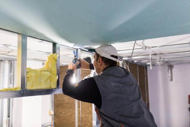 Types of Insulation We Offer in Gardena, CA
