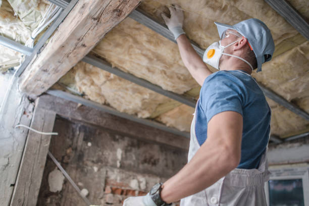Best Spray Foam Insulation in Gardena, CA