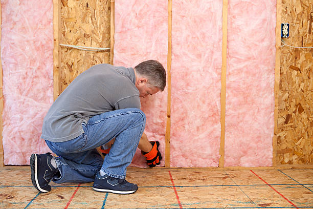 Best Cellulose Insulation in Gardena, CA