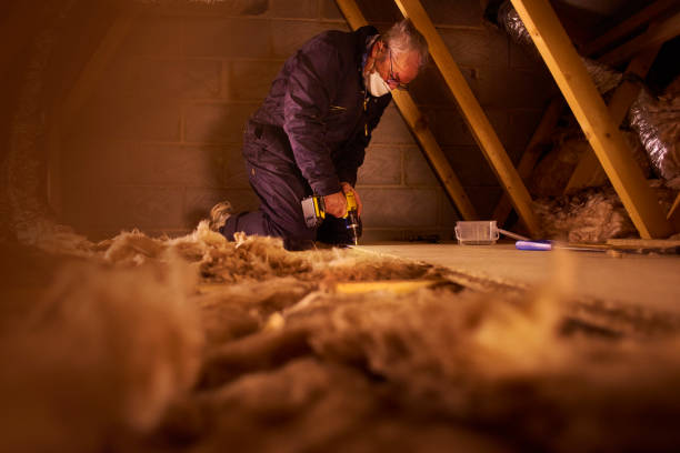 Best Eco-Friendly Insulation in Gardena, CA